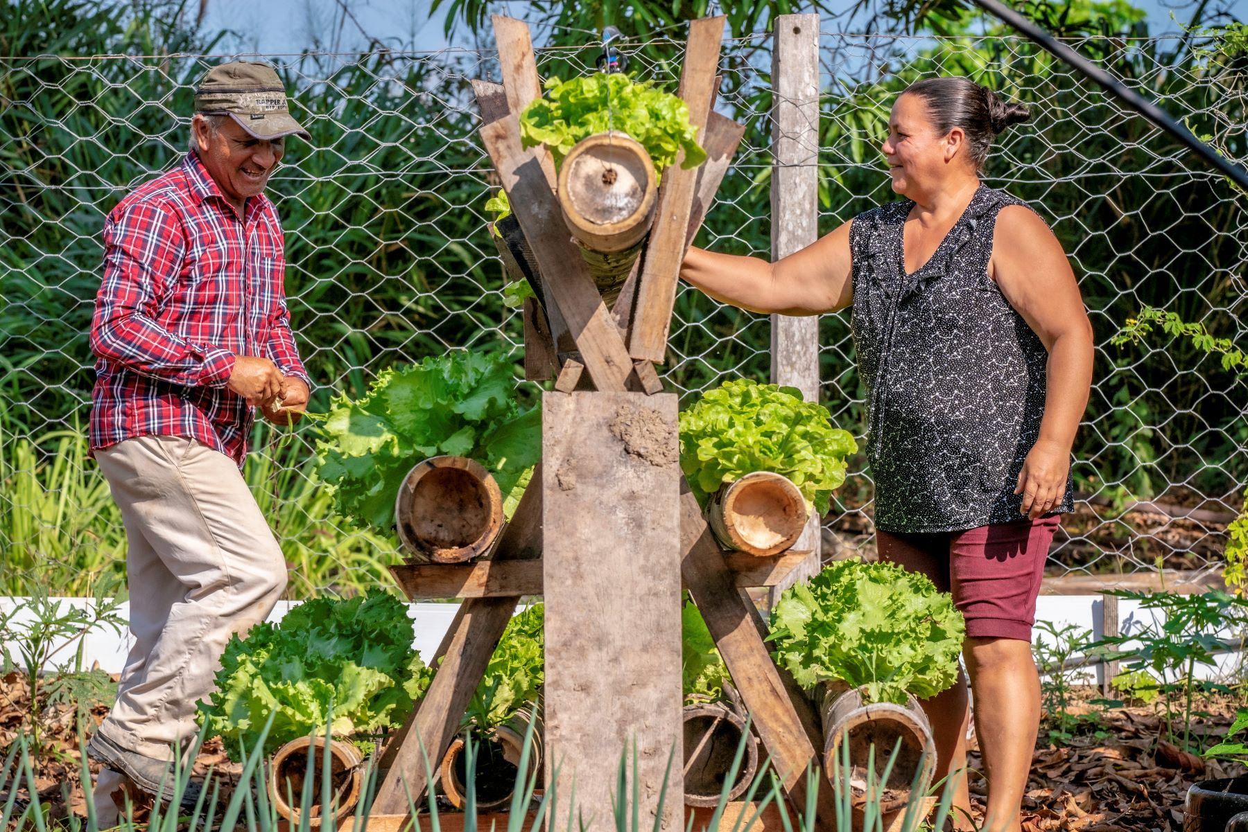 Val e Rose em sua horta: história de amor e de aposta na agroecologia (Foto: Júlia Beatriz)