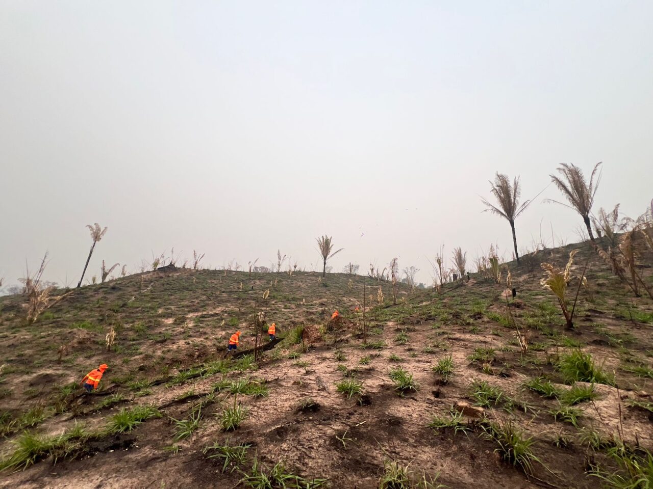 Bombeiros no combate ao fogo no Parque Estadual Guajará-Mirim, em Rondônia: estado tem multiplicação das queimadas com avanço da fronteira agrícola (Foto: CBMRO)