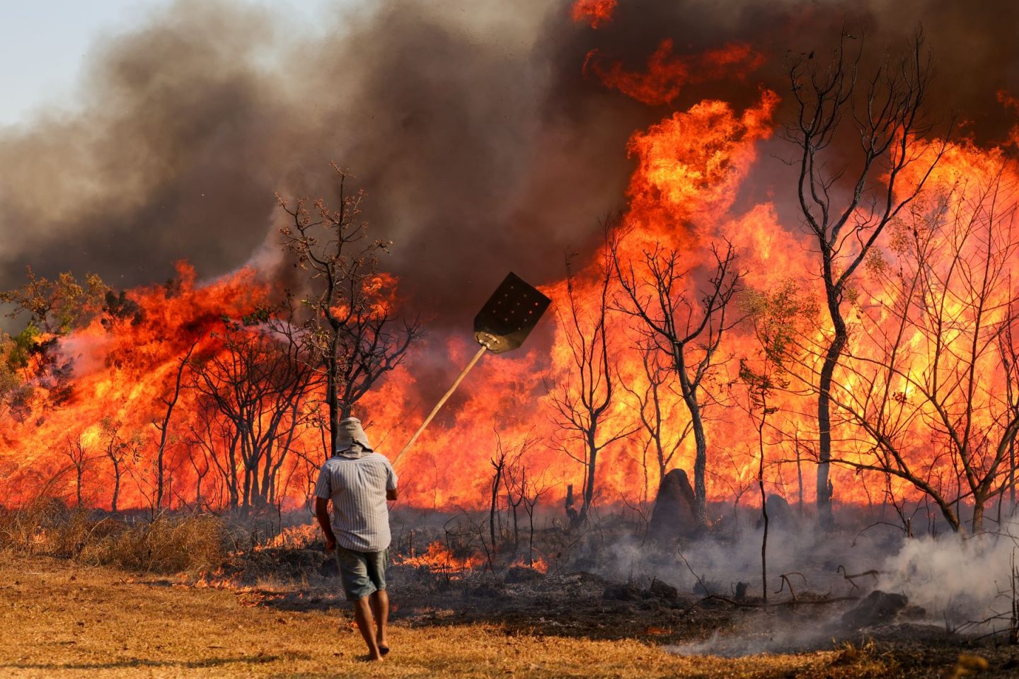 Voluntáro tenta combater o fogo no Parque Nacional de Brasília: Polícia Federal investiga incêndio criminoso (Foto: Fabio Rodrigues-Pozzebom / Agência Brasil)
