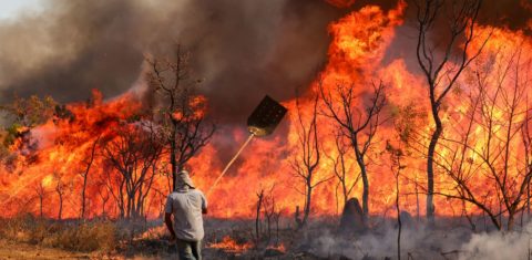 Voluntáro tenta combater o fogo no Parque Nacional de Brasília: Polícia Federal investiga incêndio criminoso (Foto: Fabio Rodrigues-Pozzebom / Agência Brasil)
