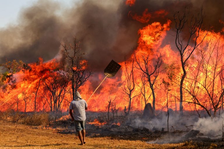Voluntáro tenta combater o fogo no Parque Nacional de Brasília: Polícia Federal investiga incêndio criminoso (Foto: Fabio Rodrigues-Pozzebom / Agência Brasil)