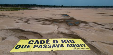 Protesto do Greenpeace Brasil no leito seco do Rio Solimões: seca extrema leva rios na Amazônia e Pantanal a mínimas extremas (Foto: Nilmar Lage / Greenpeace)