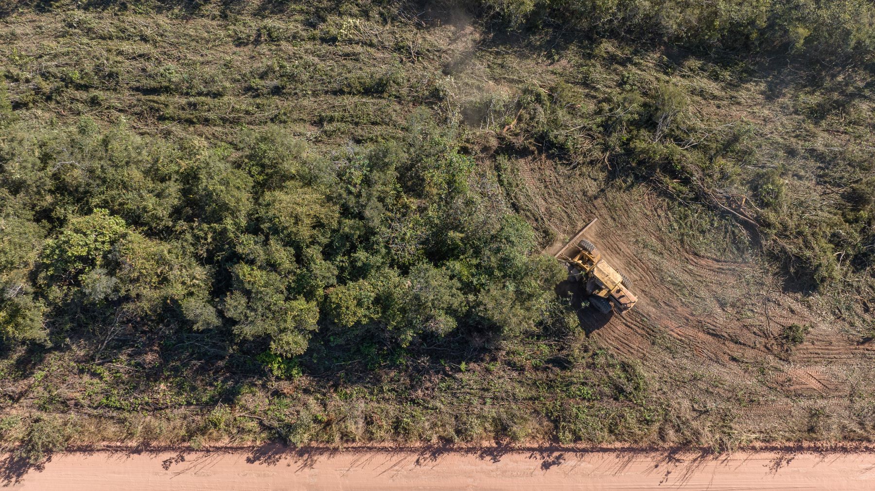 Desmatamento em área de Cerrado no oeste da Bahia: ONG defende que União Europeia não adie legislação contra importação de produtos (Foto: Thomas Bauer / Earthsight)