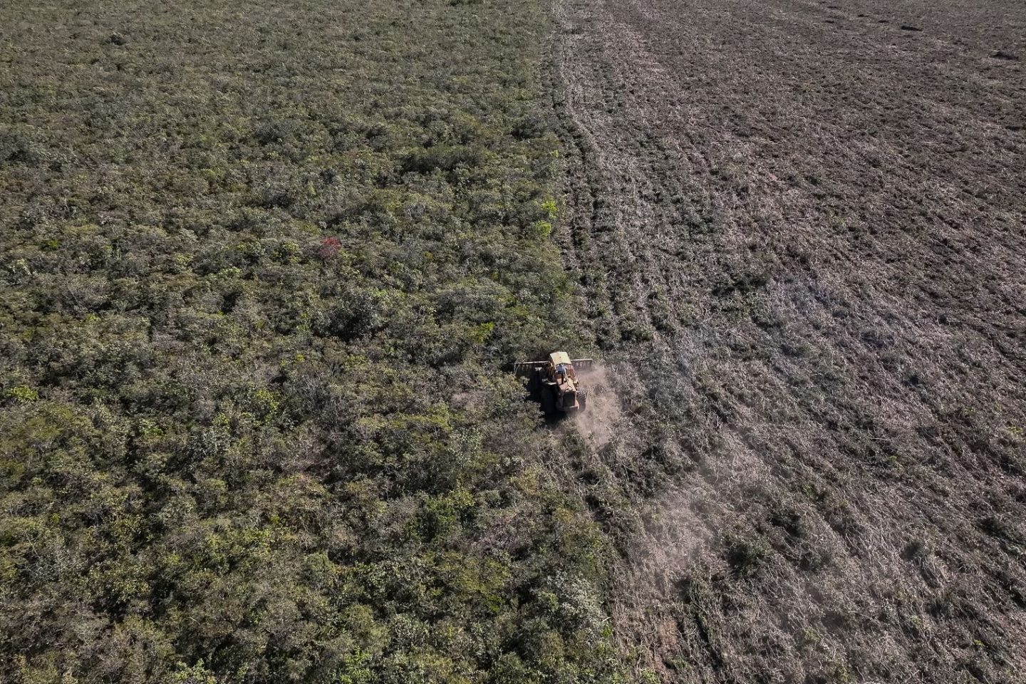 Supressão de vegetação nativa do Cerrado no oeste da Bahia: investigação da ONG Earthsight aponta que produtos à base de frango vendidos por supermercados europeus estão ligados a desmatamento ilegal, e grilagem de terras no Cerrado brasileiro (Foto: Thomas Bauer / Earthsight)