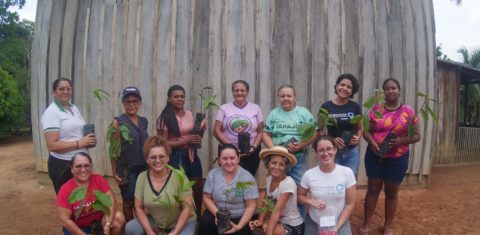 Mulheres integrantes de associações comunitárias da região do Rio Tapajós: sistemas agroflorestais para produzir alimentos e restaurar a floresta (Foto: CI-Brasil)
