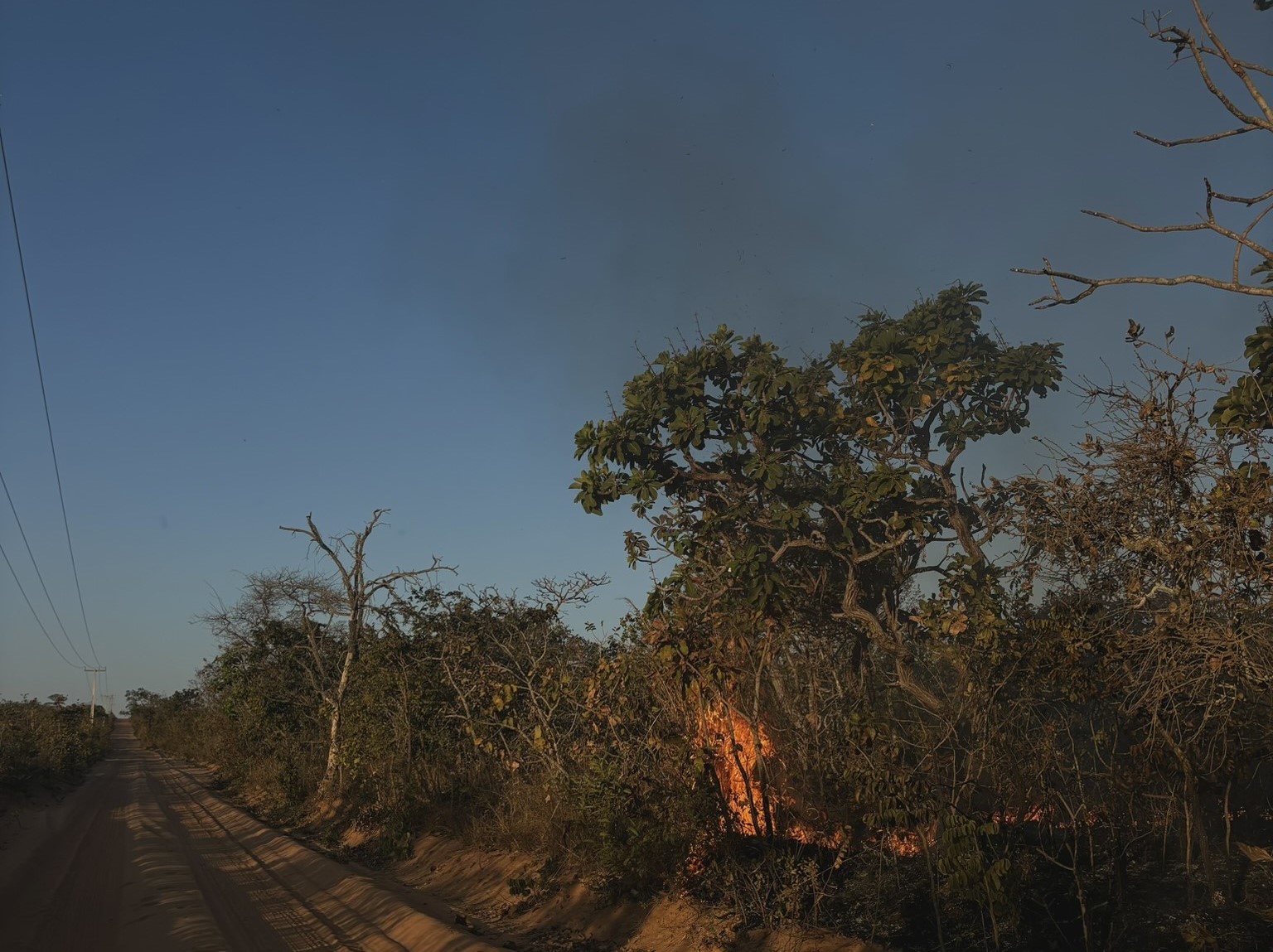 Incêndio na vegetação seca em Mumbaí, Goiás: menos água para as comunidades tradicionais com o avanço do agronegócio (Foto: Júlia Beatriz de Freitas)