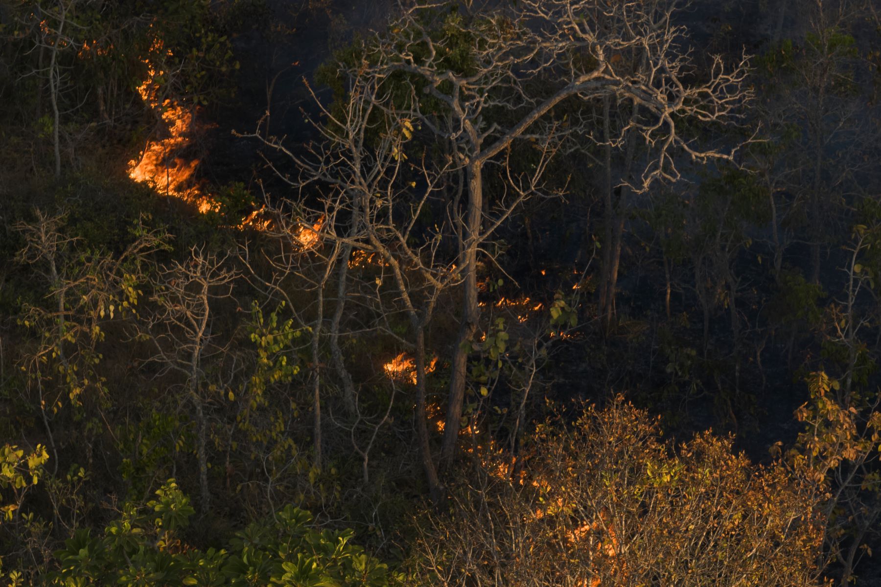 Incêndio em área de Cerrado na região de Barreiras (BA): sem manejo adequado, fogo foge ao controle (Foto: Macaca Filmes)