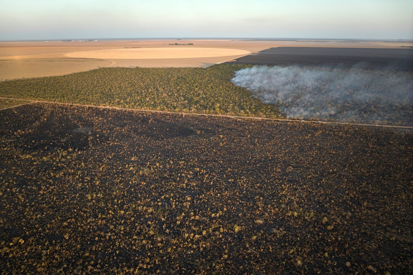 Fogo, área desmatada e plantação de soja num retrato da destruição do Cerrado no oeste da Bahia: seca e expansão agrícola ameaçam comunidades tradicionais (Foto: Macaca Filmes)