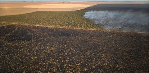 Fogo, área desmatada e plantação de soja num retrato da destruição do Cerrado no oeste da Bahia: seca e expansão agrícola ameaçam comunidades tradicionais (Foto: Macaca Filmes)