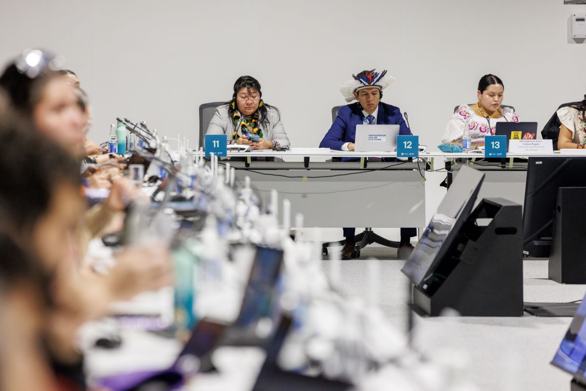 Representantes de povos indígenas reunidos na COP29 em Baku: protestos reprimidos nos países que sediaram as últimas três conferências sobre mudanças climáticas (Foto: Kamran Guliyev / UN Climate Change - 16/11/2024)