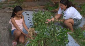 Cerrado em chamas causa problemas na saúde e na aprendizagem