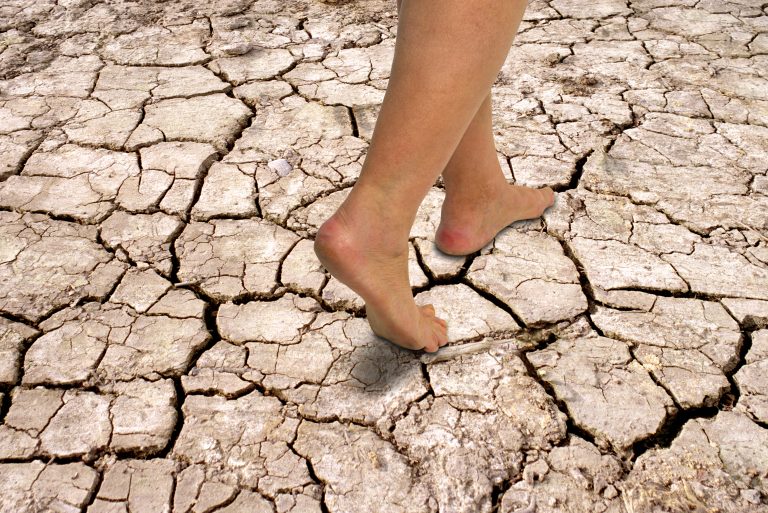 Hoje, metade da população mundial já enfrenta alguma escassez de água, pondo cada vez mais em risco a segurança alimentar e o desenvolvimento humano. Foto Victor Schwanberg/Science Pho Library via AFP