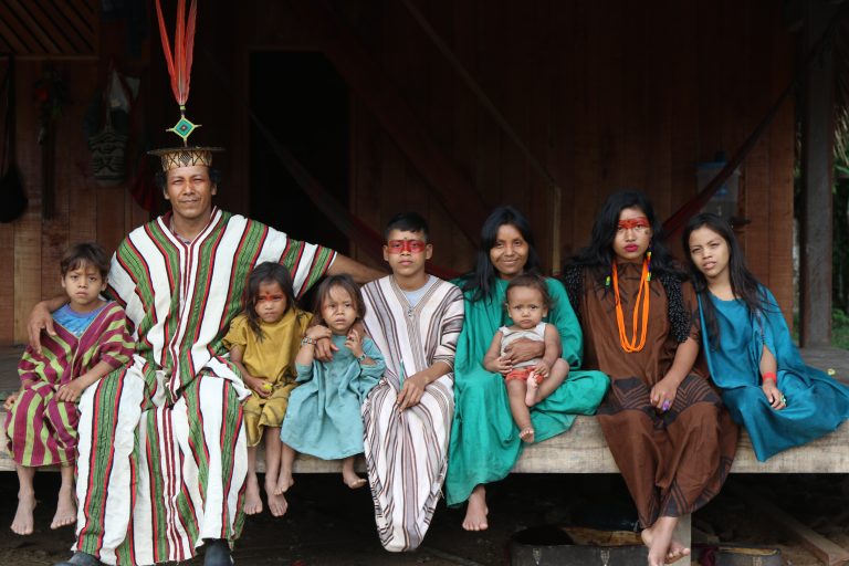 Floresta onde a terra respira, filme do festival Curta!. Foto: Divulgação