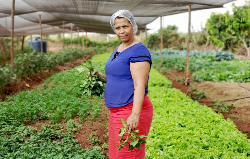 Nivalda busca autonomia financeira a partir da comercialização das produções para as mulheres do assentamento - Foto Filipe Augusto Peres