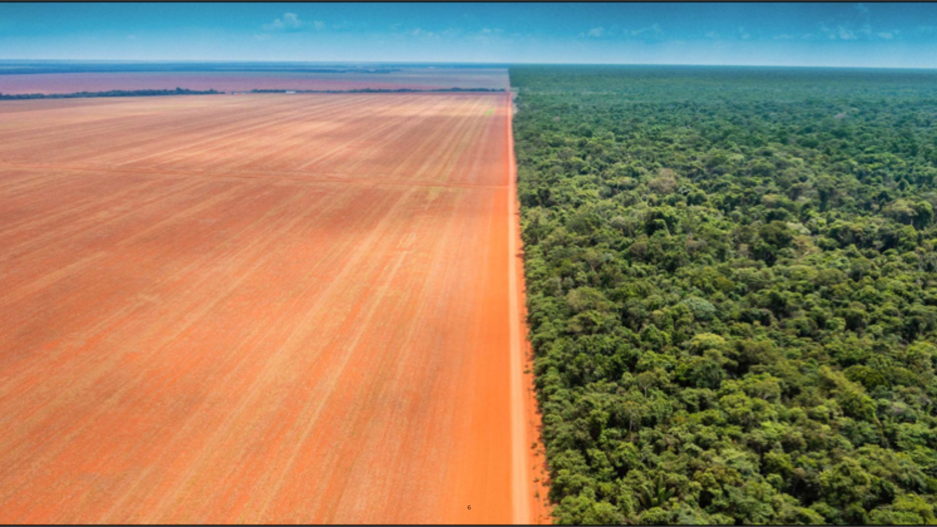 Vista aérea do Parque Indígena do Xingu vizinho a fazenda de soja. (Foto: Piratá Waurá)