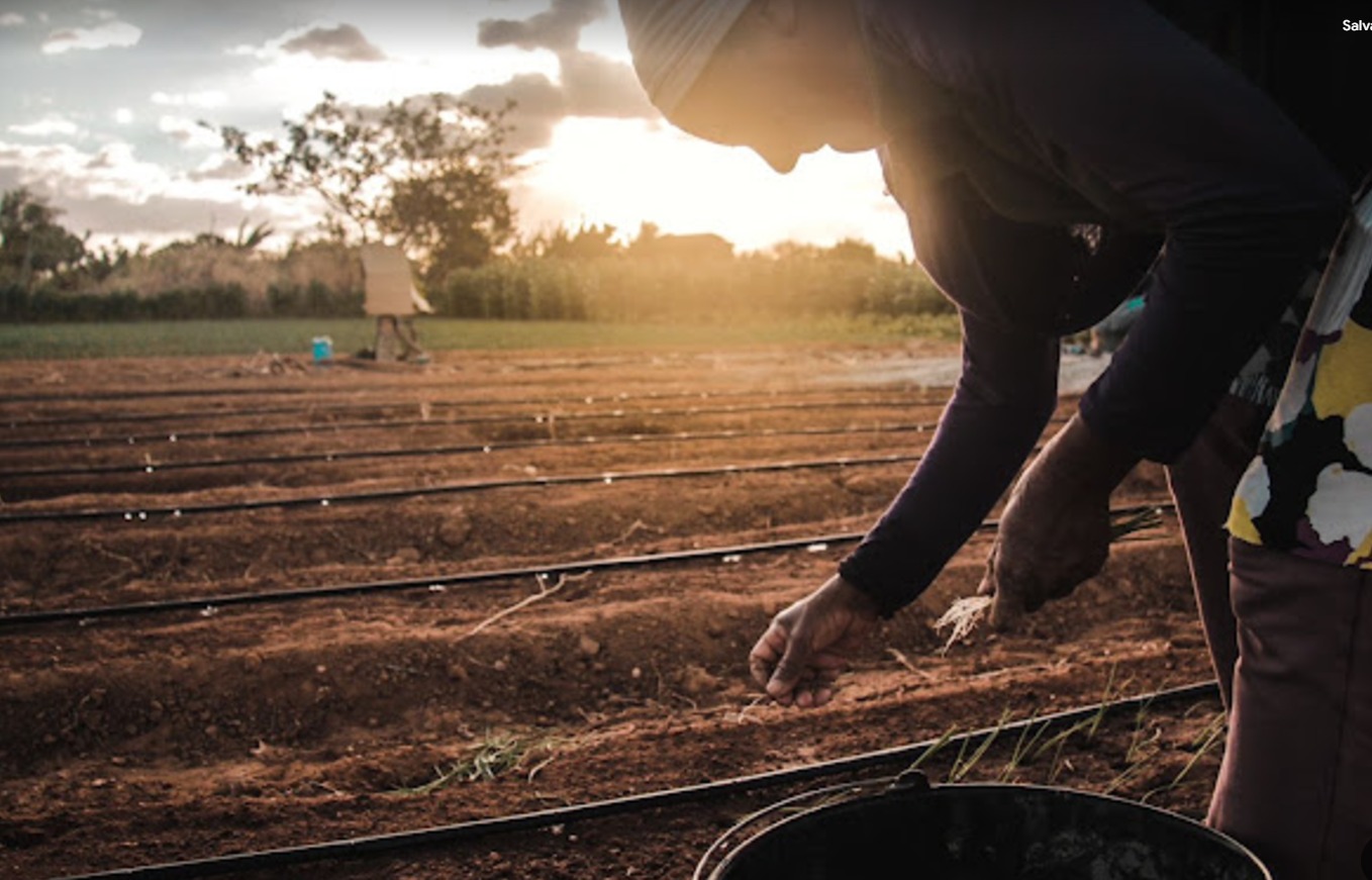 Trabalhadores e trabalhadoras (rurais e urbanos) frequentemente vivem em áreas mais expostas a eventos climáticos extremos, como inundações e secas (Foto: Rafael Brito)