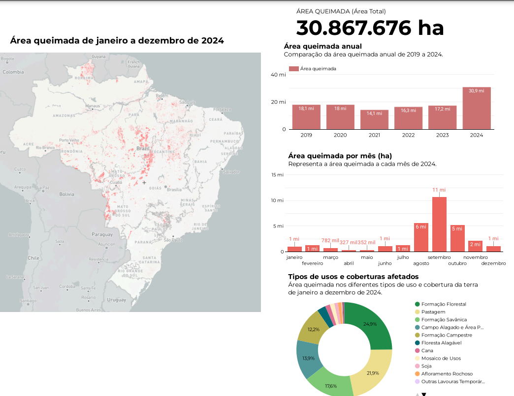 Monitor do Fogo: a área queimada no país em 2024 cresceu 79% em relação a 2023 (Arte: MapBiomas)