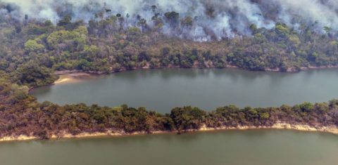 Fogo na floresta às margens do Rio Xingu, na Amazônia: área queimada no bioma em 2024 aumentou 67% na comparação com 2023 (Foto: Marizilda Cruppe / Greenpeace - 11/09/2024)