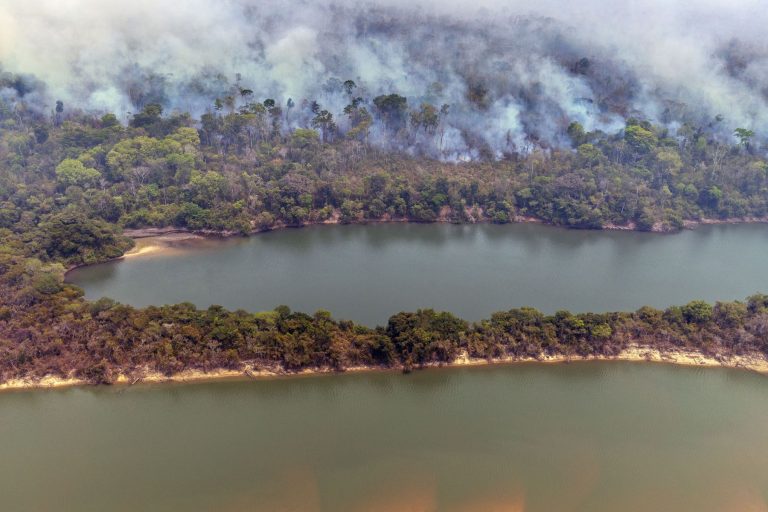 Fogo na floresta às margens do Rio Xingu, na Amazônia: área queimada no bioma em 2024 aumentou 67% na comparação com 2023 (Foto: Marizilda Cruppe / Greenpeace - 11/09/2024)