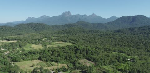 Paraíso verde: a agrofloresta da comunidade José Lutzenberg vista de cima (Foto: divulgação / Plantear)