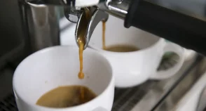 Café insustentável: mudanças climáticas impactam a produção e os preços do grão