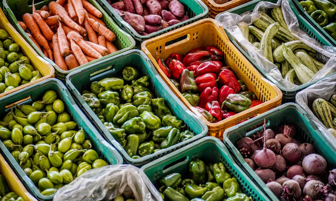 Foto colorida de cestas com diferentes alimentos, como pimentão, abobrinha e cenoura