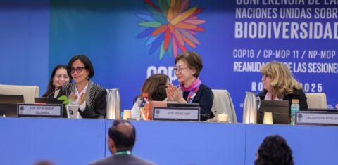 Susana Muhamad (esquerda), presidente da COP16 da Biodiversidade puxa aplausos para acordo aprovado em Roma: roteiro para chegar a US$ 200 bilhões anuais para proteger a natureza (Foto: Mike Muzurakis / IISD-ENB)
