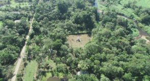 Comunidade do MST investe em agrofloresta e cria ‘paraíso verde’ no Paraná