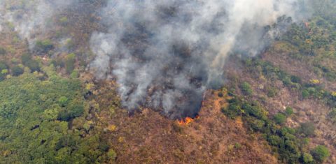 Fogo na floresta às margens do Rio Xingu, na Amazônia: área queimada no bioma registrou redução de 72% no primeiro trimestre de 2025 na comparação com 2024 (Foto: Marizilda Cruppe / Greenpeace - 11/09/2024)