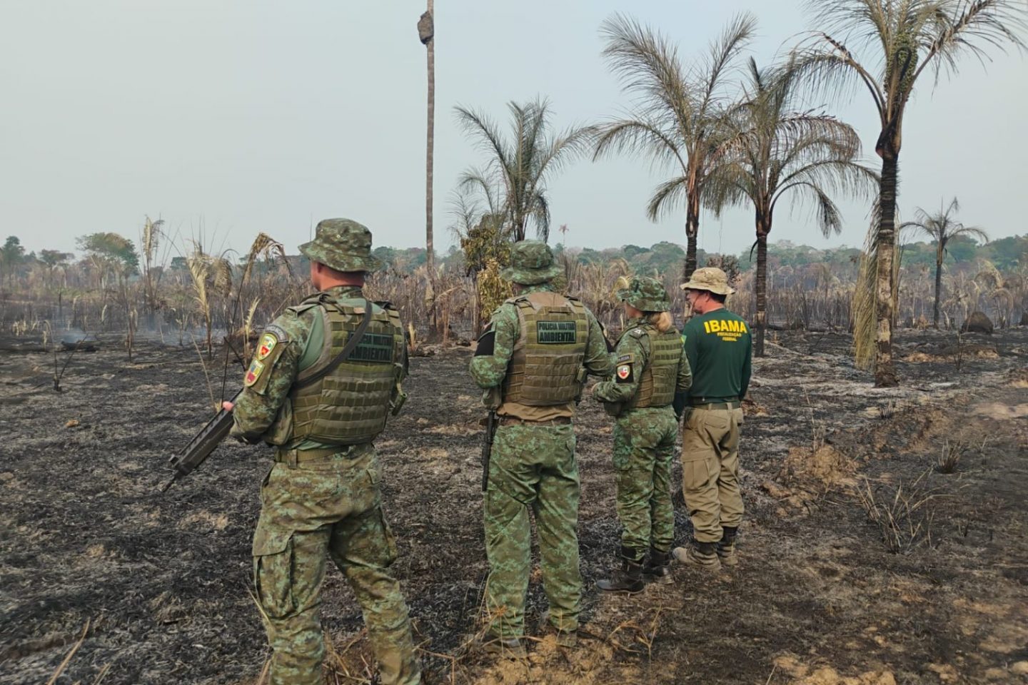 Ação de combate ao desmatamento do Ibama no Amazonas: o mês de abril teve aumento de 55% nos alertas de supressão florestal na Amazônia (Foto: Ibama / Divulgação - 17/10/2024)
