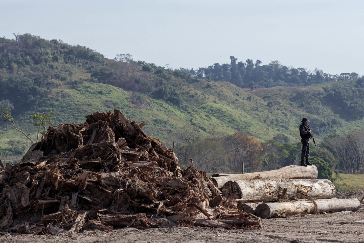 Operação do Ibama contra desmatamento ilegal na Amazônia: regras aprovadas pelo Senado destroçam licenciamento ambiental (Foto: Fernando Augusto / Ibama)