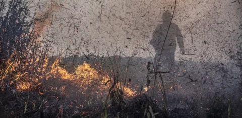 Foto colorida de incêndio na Amazônia; área atingida pelo fogo no bioma foi a segunda maior da história em 2024