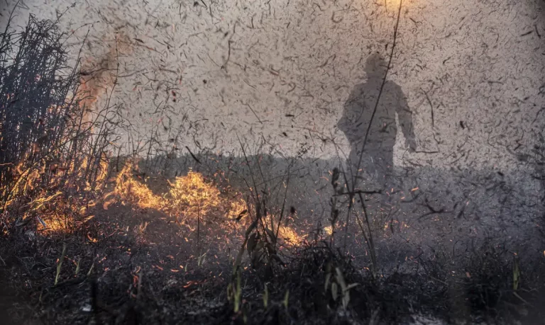 Foto colorida de incêndio na Amazônia; área atingida pelo fogo no bioma foi a segunda maior da história em 2024