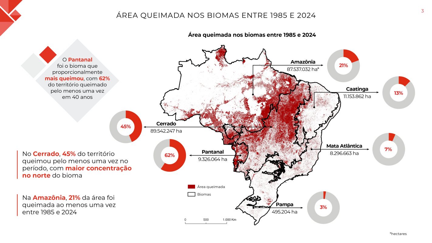 Gráfico colorido com dados sobre áreas queimadas nos diferentes biomas do Brasil entre 1985 e 2024