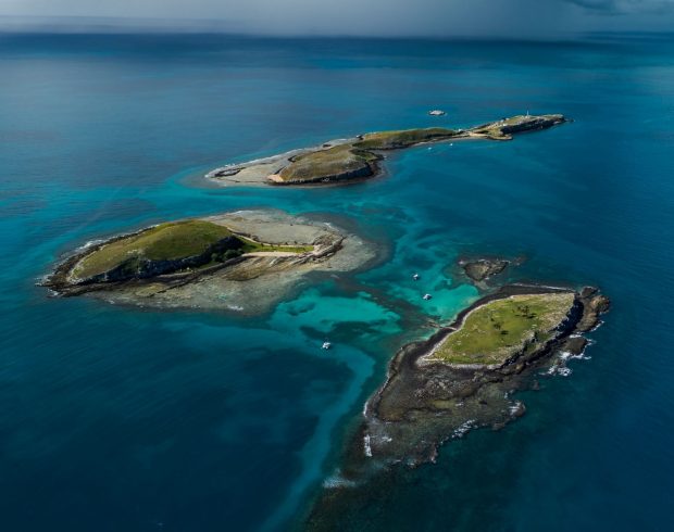 Pesquisa aponta habitats ameaçados e sem proteção em Abrolhos
