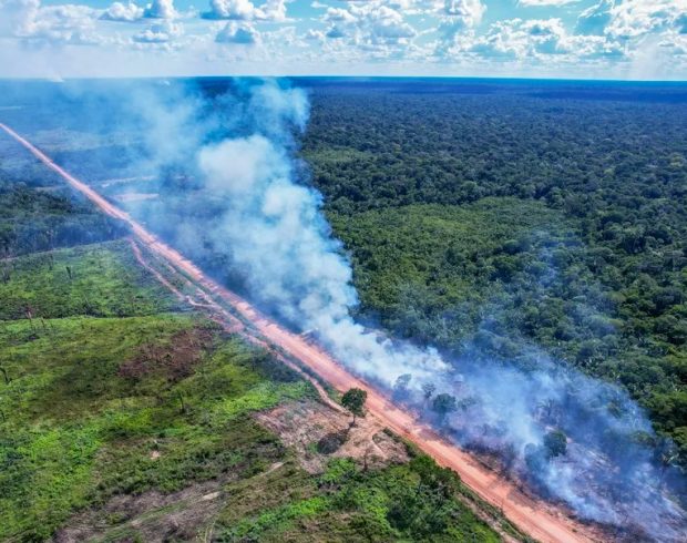 Amazônia: Justiça Federal retoma suspensão de licença para a BR-319