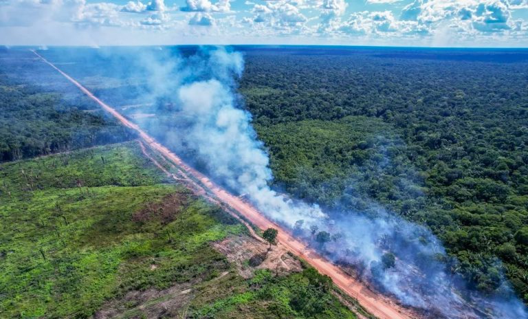 Desmatamento no entorno da BR-319: Justiça Federal retoma suspensão de licença para obras (Foto: Orlando K. Junior / Fundação Amazônia Sustentável)