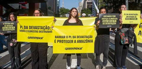 Protesto contra o PL da Devastação: análise técnica defende veto integral de texto sobre licenciamento ambiental aprovado pelo Congresso (Foto: Victor Bravo / Greenpeace - 01/06/2025)