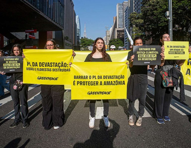 Protesto contra o PL da Devastação: análise técnica defende veto integral de texto sobre licenciamento ambiental aprovado pelo Congresso (Foto: Victor Bravo / Greenpeace - 01/06/2025)