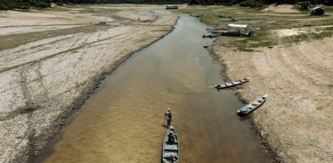 Afluente do Amazonas quase seco perto de Manaus: seca extrema na Amazônia é destaque entre os retratos da crise climático premiados no World Press Photo 2025 (Foto: Musuk Nolte / Panos Pictures, Bertha Foundation / WPP 2025 / Divulgação - 04/10/2024)
