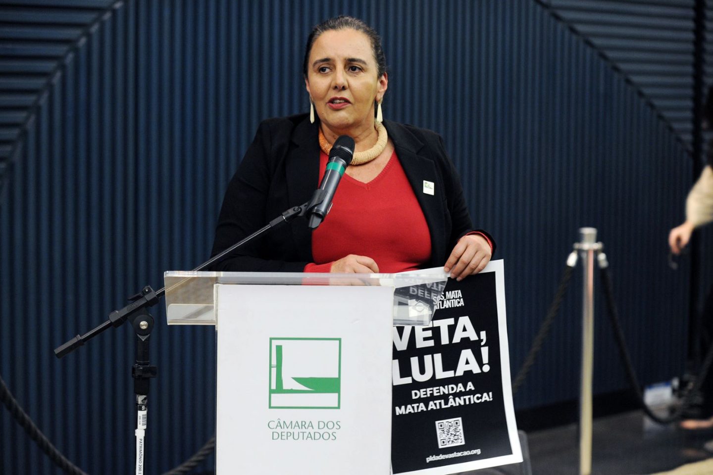 No lançamento da Agenda Legislativa do Observatório do Clima, Malu Ribeiro, da SOS Mata Atlântica, discursa com cartaz pedindo o veto o PL da Devastação: Congresso tem pelo menos 46 projetos em tramitação com graves retrocessos ambientais (Foto: Renato Araújo/Câmara dos Deputados)