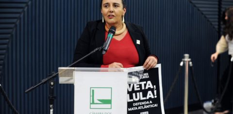 No lançamento da Agenda Legislativa do Observatório do Clima, Malu Ribeiro, da SOS Mata Atlântica, discursa com cartaz pedindo o veto o PL da Devastação: Congresso tem pelo menos 46 projetos em tramitação com graves retrocessos ambientais (Foto: Renato Araújo/Câmara dos Deputados)