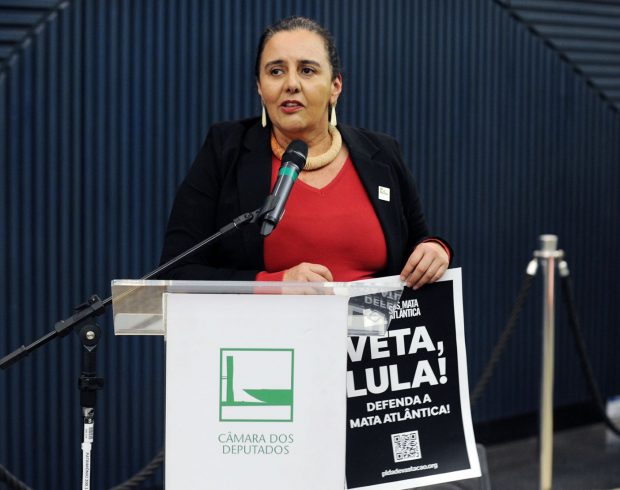 Congresso analisa pelo menos 46 projetos com graves retrocessos ambientais