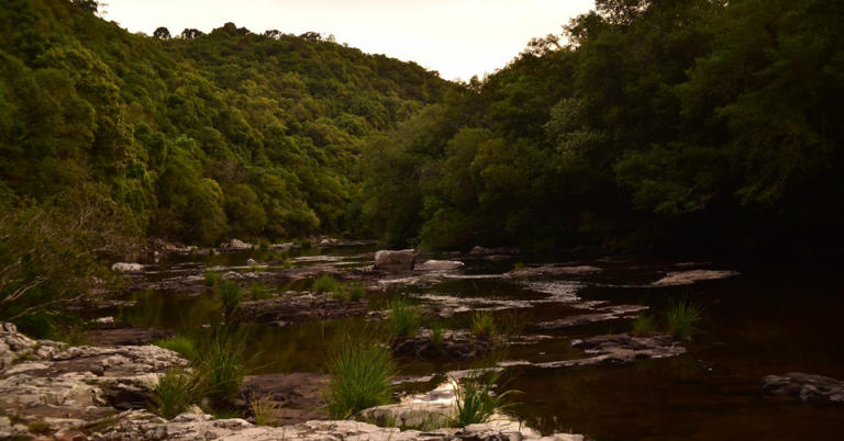 Foto colorida das margens do Rio Forqueta, no Rio Grande do Sul. Na foto, aparecem as águas do rio em primeiro plano com florestas ao fundo