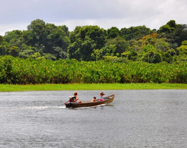 Como resíduos de mineração podem servir para despoluir rios na Amazônia