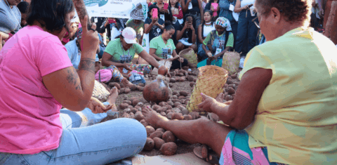 Foto colorida de quebradeiras de coco babaçu do MIQCB durante evento em Brasília (DF). Na imagem, as quebradeiras aparecem sentadas no chão e quebrando cocos, enquanto pessoas assistem.