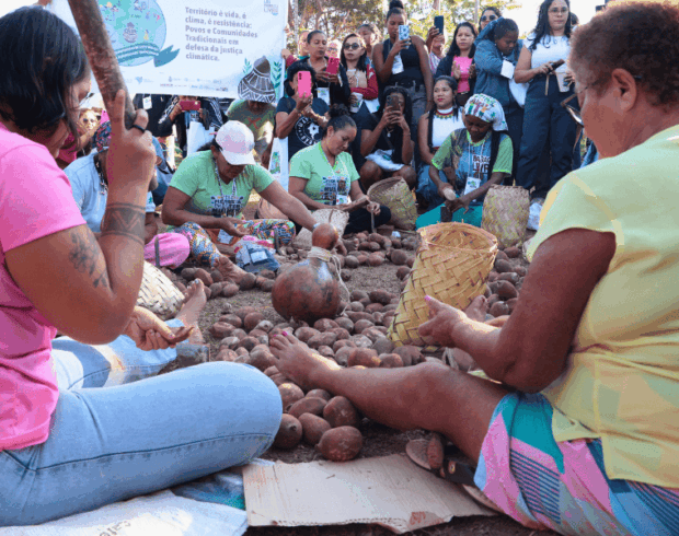 Quebradeiras de coco babaçu lideram resistência ao agronegócio no Cerrado: “Tem floresta em pé, tem mulher”