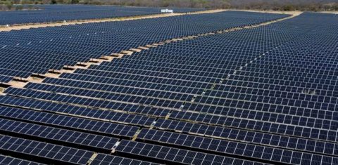 Usina solar em Minas Gerais: Plano Clima prevê menos participação de renováveis na geração de energia elétrica (Foto: Tadeu Alencar / MME)