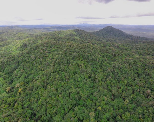 Amazônia tem a terceira menor taxa de desmatamento da história