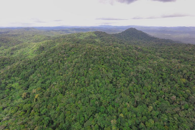 Área da Floresta Amazônica preservada: bioma Amazônia teve o terceiro menor desmatamento da história (Foto: MMA)